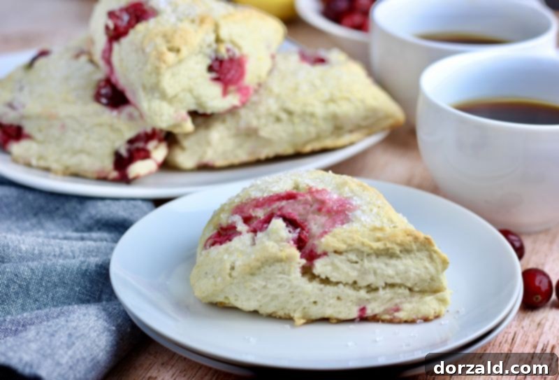 Plant Based Zesty Cranberry Scones 1 featured 4595