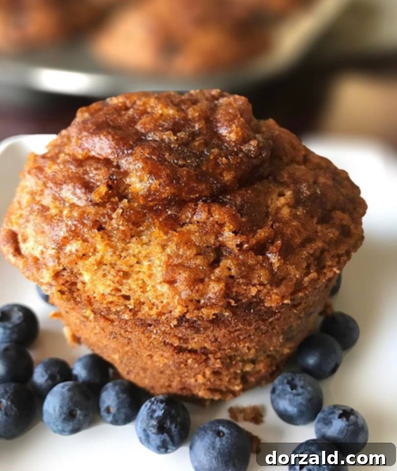 Vegan Banana Nut Blueberry Muffins 1 featured 693 1