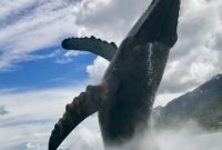 Experience Juneau: Activities and Alaskan Flavors