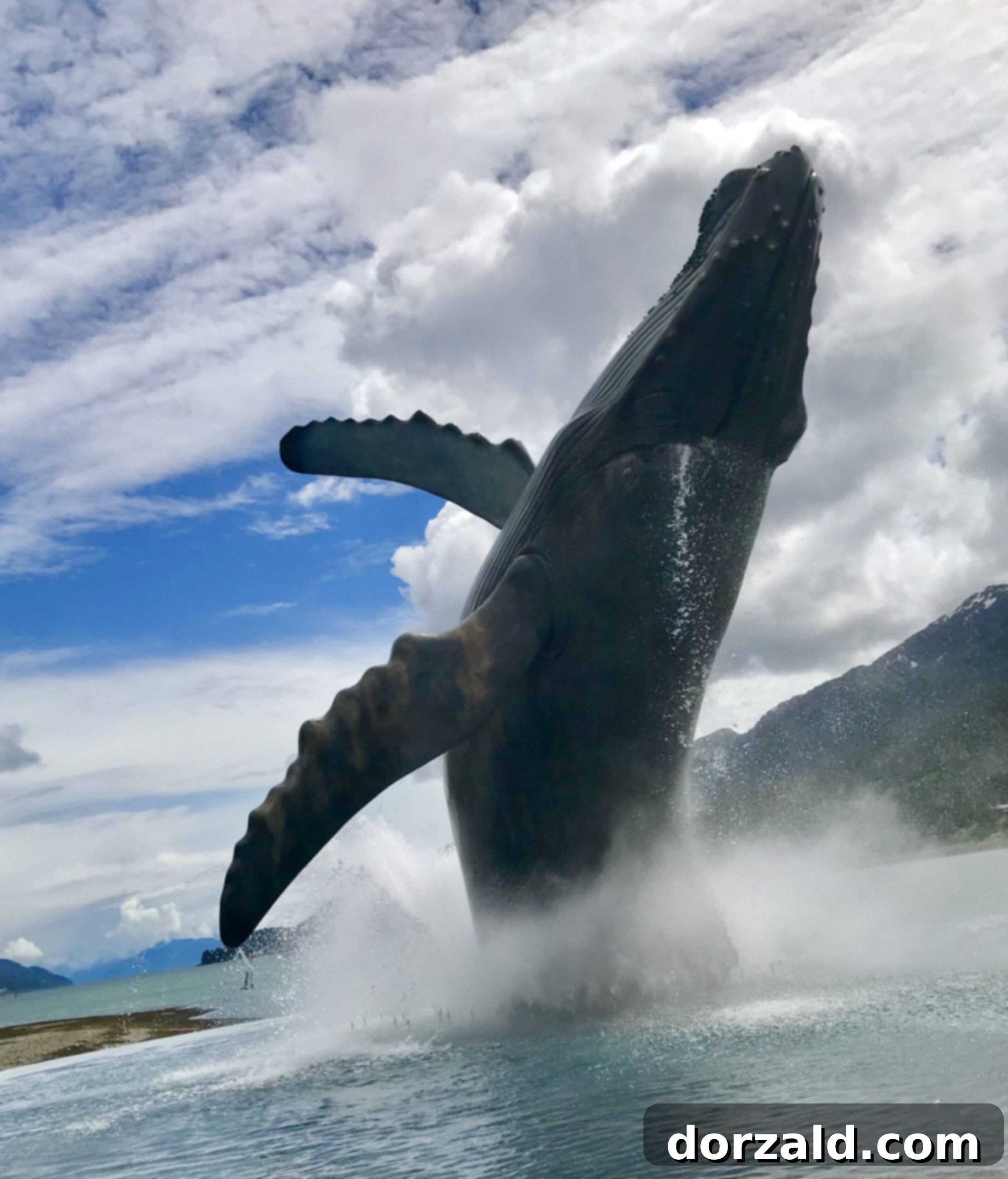 Exploring Juneau: A Guide to Its Best Sights and Bites 1 featured 82296