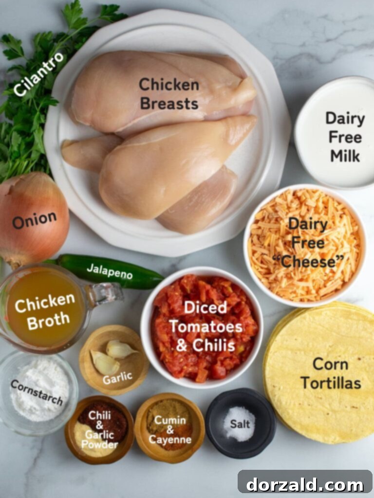 Dairy-Free King Ranch Chicken Casserole 3 A selection of ingredients laid out for making dairy free king ranch chicken casserole, including chicken breasts, corn tortillas, Ro-Tel, spices, and dairy-free cheese.