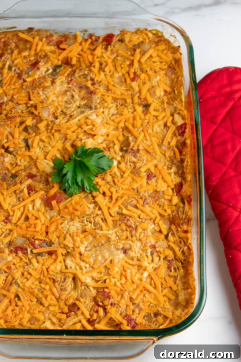 Dairy-Free King Ranch Chicken Casserole 4 Close up of a layer of King Ranch chicken casserole with corn tortillas and shredded chicken mixture