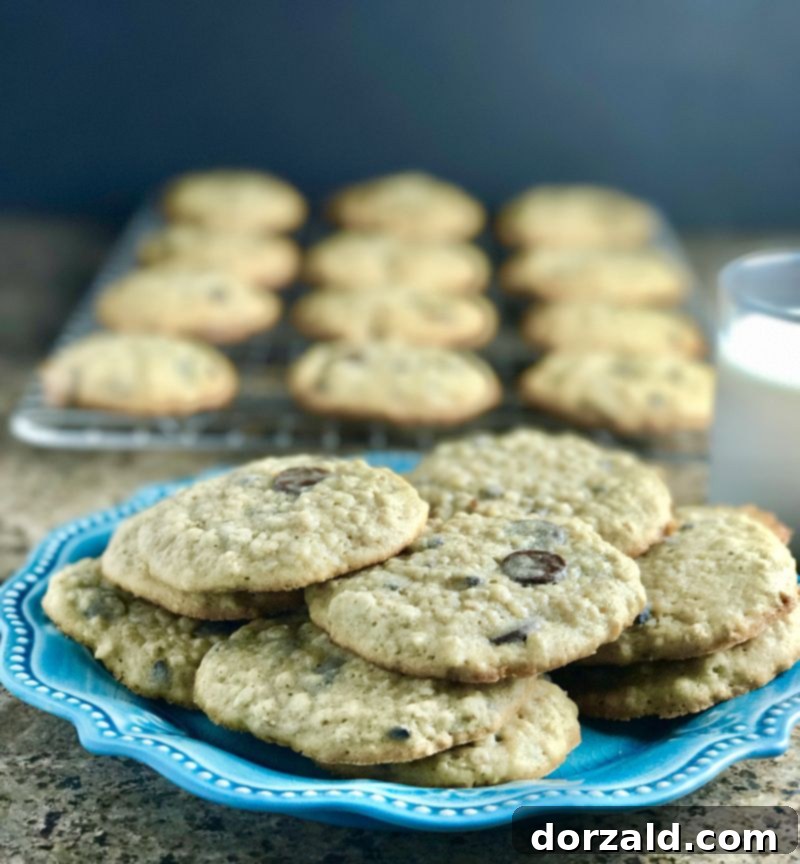 Banana Oatmeal Chocolate Chip Cookies