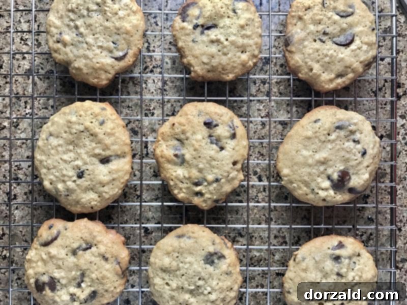 Banana Oatmeal Chocolate Chip Cookies