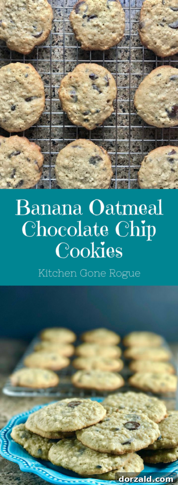 Banana Oatmeal Chocolate Chip Cookies Kitchen Gone Rogue