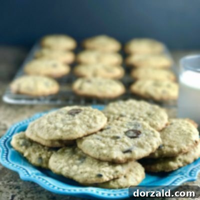 Homemade Banana Oatmeal Chocolate Chip Cookies with a healthy twist