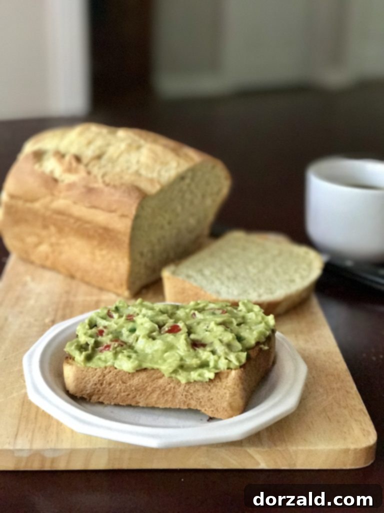 Ultimate Avocado Toast with Avocado Bread Kitchen Gone Rogue