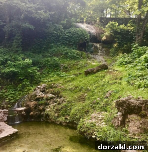 Hot Springs National Park Where to Eat Guide Kitchen Gone Rogue