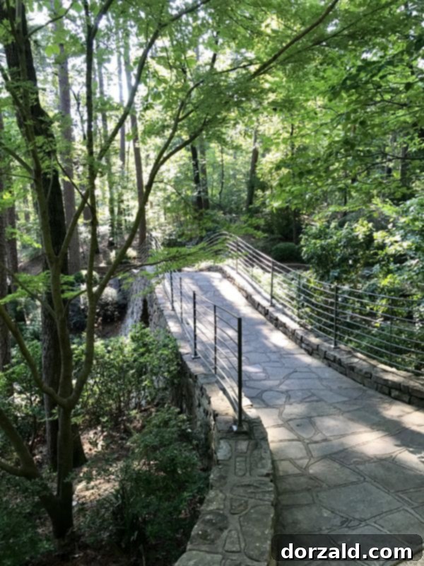 Hot Springs AR Garvan Gardens Kitchen Gone Rogue Review