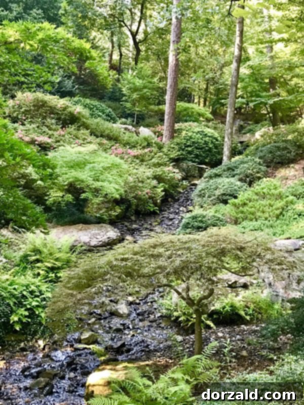 Hot Springs AR Garvan Woodland Gardens Kitchen Gone Rogue Review