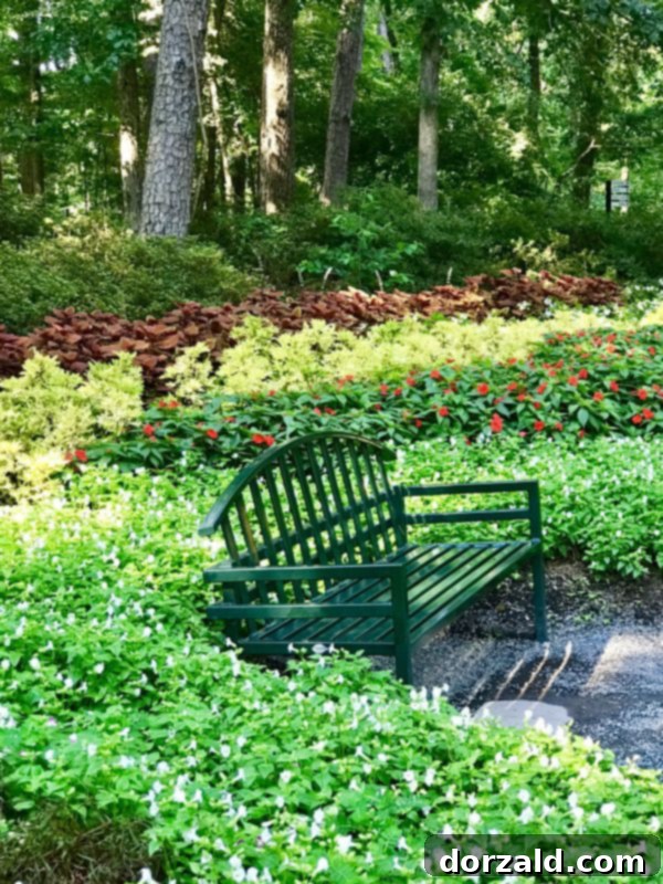 Hot Springs AR Garvan Gardens