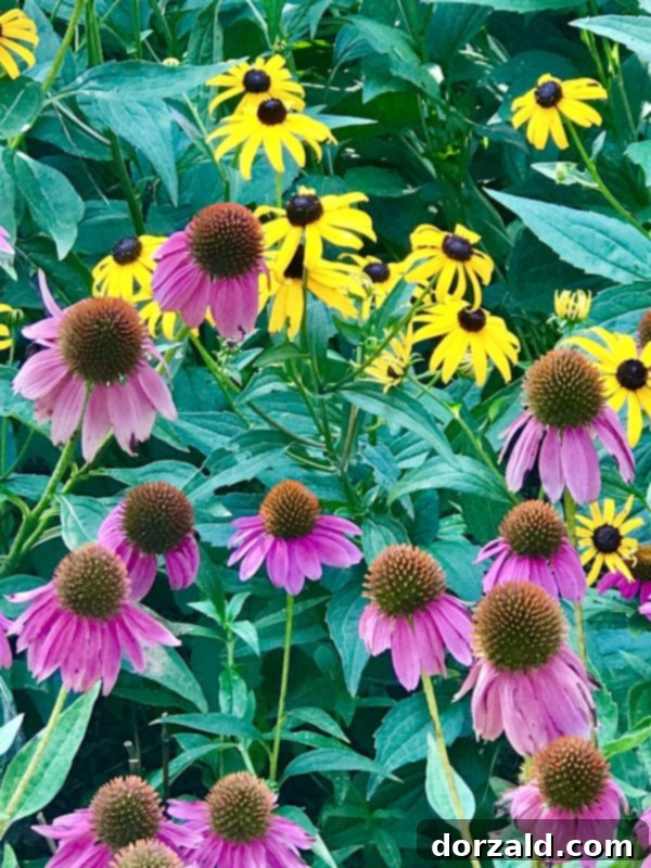 Hot Springs AR Garvan Gardens Flowers Kitchen Gone Rogue