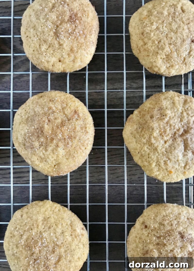Pumpkin Snickerdoodle Cookies