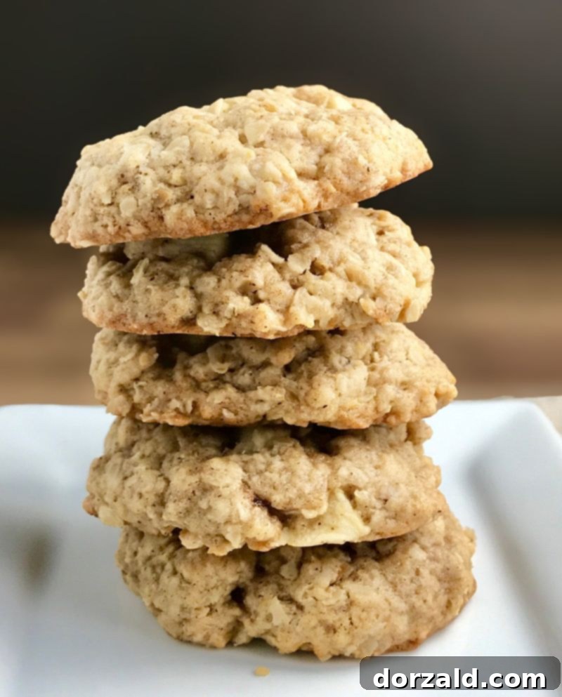Vegan Apple Oat Chews 3 Close-up of Vegan Chewy Oatmeal Apple Cookies