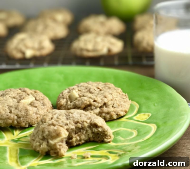 Vegan Apple Oat Chews 4 Stack of Vegan Chewy Apple Oatmeal Cookies