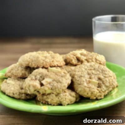 Vegan Apple Oat Chews 6 Vegan Chewy Apple Oatmeal Cookies