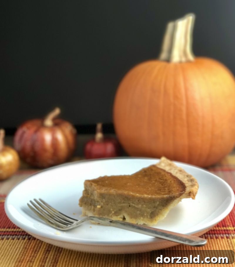 Wholesome Pumpkin Pie Delight 4 A generous slice of dairy-free pumpkin pie, highlighting its smooth, custard-like filling.