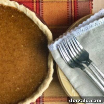 Dairy-Free Soy-Free Pumpkin Pie