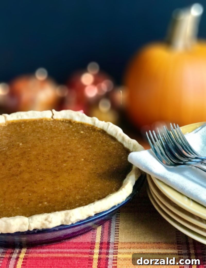 Flaky Dairy-Free Pie Crust 5 Delicious dairy-free pumpkin pie with flaky crust