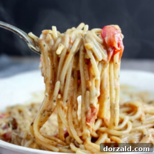 A bowl of creamy dairy-free tomato pasta.