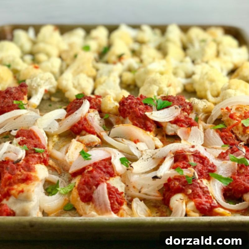 Spicy Harissa One-Pan Chicken Dinner 2 Sheet Pan Harissa Chicken and Vegetables