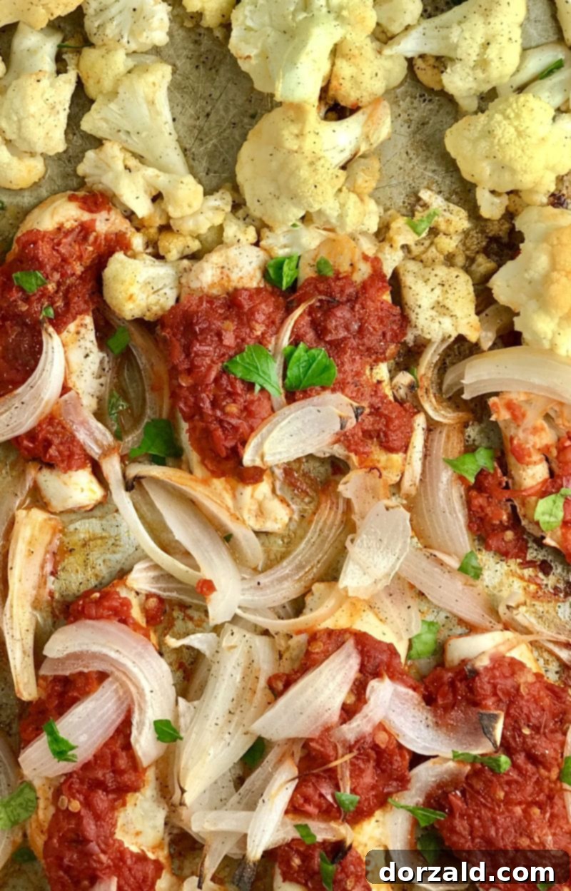 Spicy Harissa One-Pan Chicken Dinner 4 Sheet Pan Harissa Chicken and Vegetables