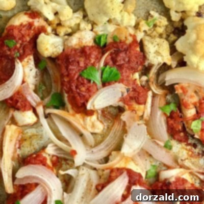 Spicy Harissa One-Pan Chicken Dinner 8 Sheet Pan Harissa Chicken and Vegetables