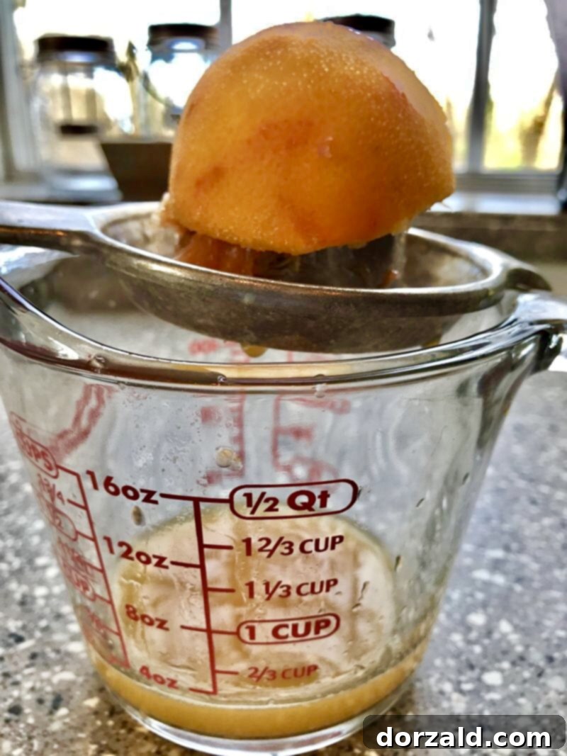 Sun-Kissed Mocha Decadence 4 Close-up of the moist interior of Vegan Orange Mocha Chocolate Cake