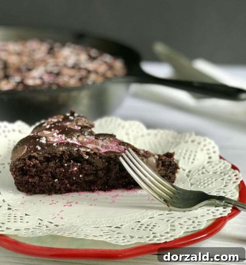 Sun-Kissed Mocha Decadence 6 Dairy-Free Egg Free Easy Chocolate Cake close up slice