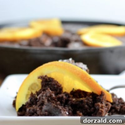 Sun-Kissed Mocha Decadence 8 orange mocha chocolate cake