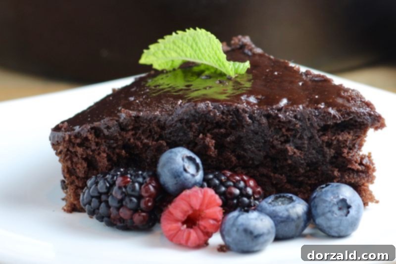 Decadent Vegan Chocolate Amaretto Skillet Cake 2 Rich vegan chocolate amaretto skillet cake, dairy-free and egg-free