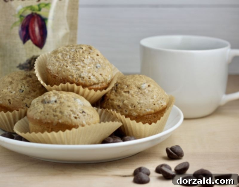 Mocha Chocolate Chip Muffins 2 Delicious chocolate chip mocha muffins on a cooling rack