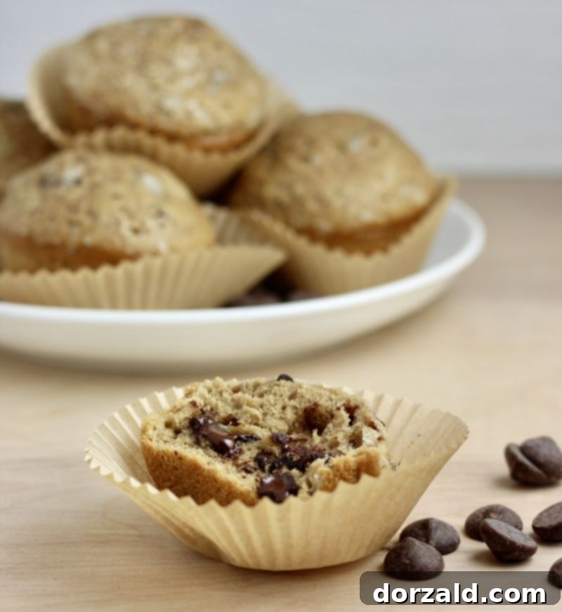 Mocha Chocolate Chip Muffins 5 Close up of a caffeine-infused chocolate chip mocha muffin showing cocoa nibs and chocolate chips
