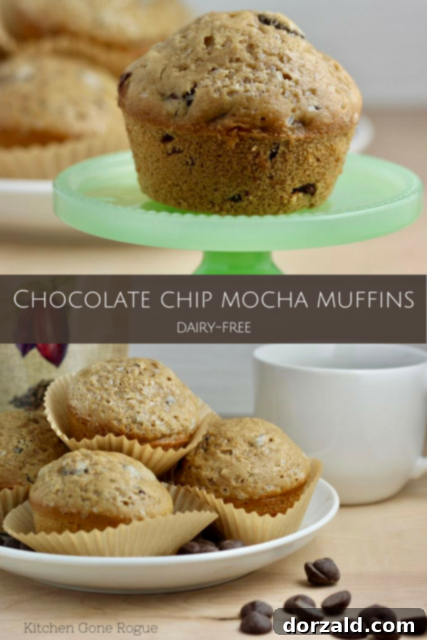 Caffeine-infused chocolate chip mocha muffins - dairy free - by kitchen gone rogue