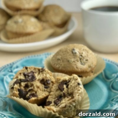 chocolate chip mocha muffins kitchen gone rogue