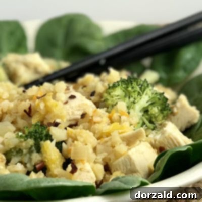 paleo general tso chicken recipe