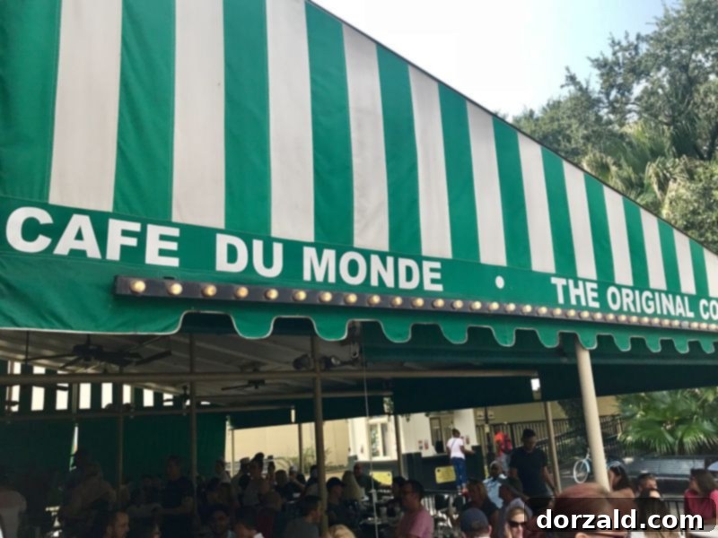 Freshly served beignets with powdered sugar from Cafe Du Monde New Orleans