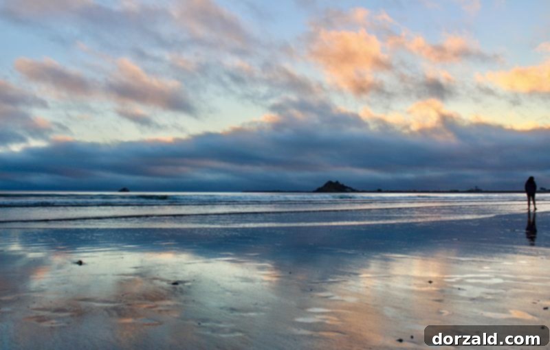 Crescent City: Must-Try Eats and Unforgettable Experiences 2 Crescent City California Sights and Bites