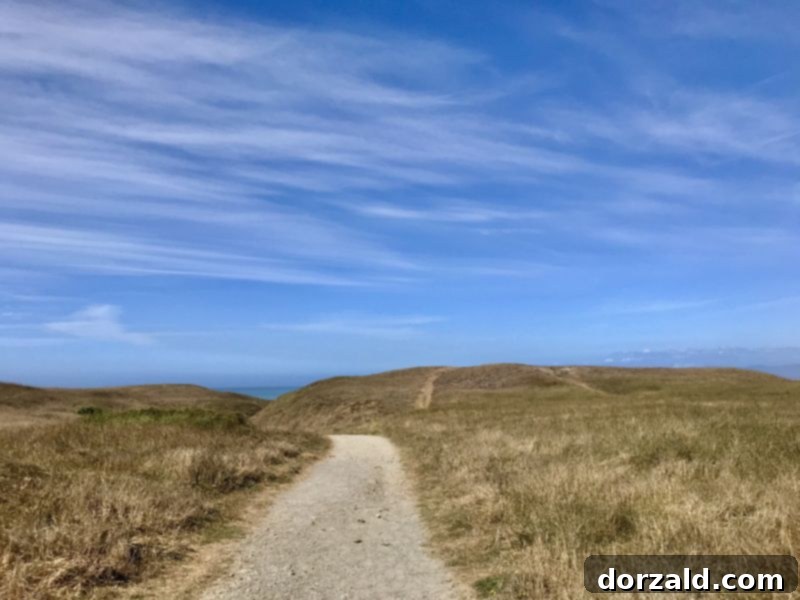 Crescent City: Must-Try Eats and Unforgettable Experiences 15 Pebble Beach Drive coastal views in Crescent City, California