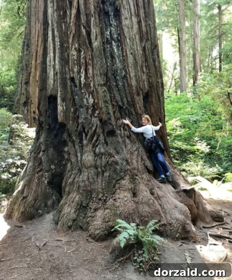 Crescent City: Must-Try Eats and Unforgettable Experiences 3 Redwood National Park, Crescent City, CA