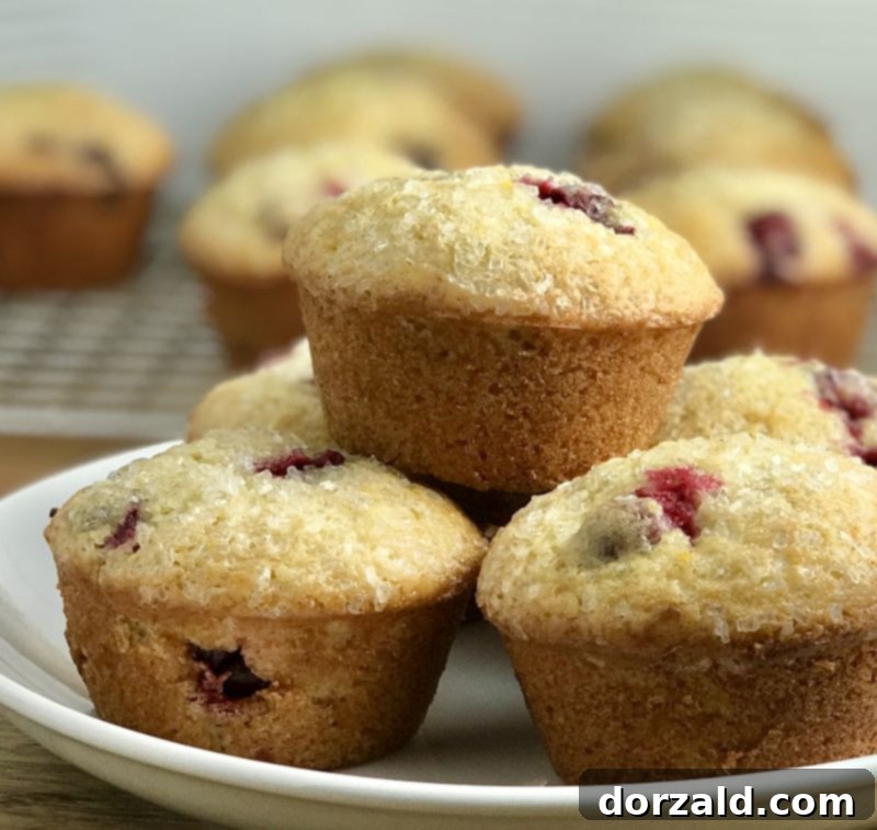 Delicious Cranberry Orange Muffins