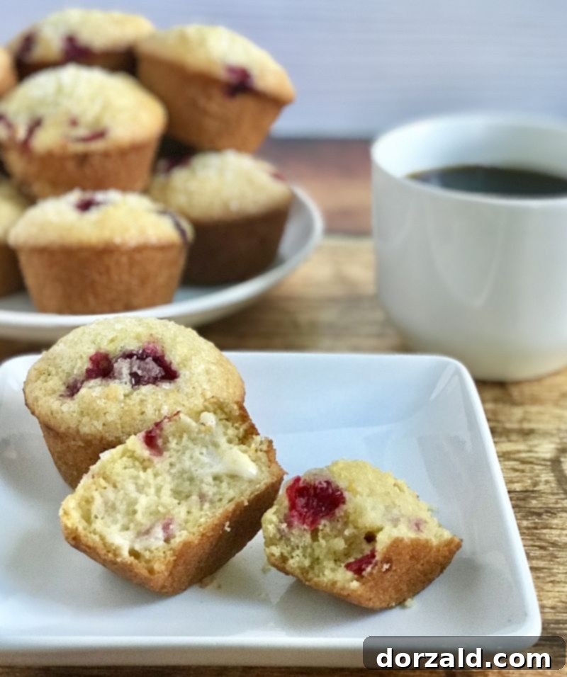 Cranberry Orange Muffins Ready to Freeze