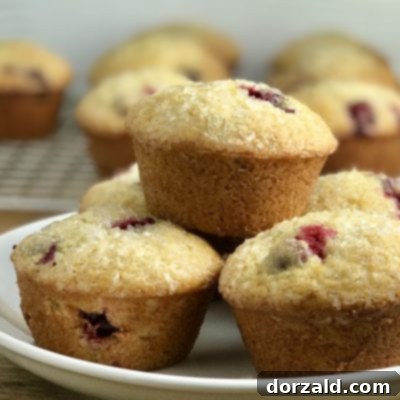 Cranberry Orange Muffins