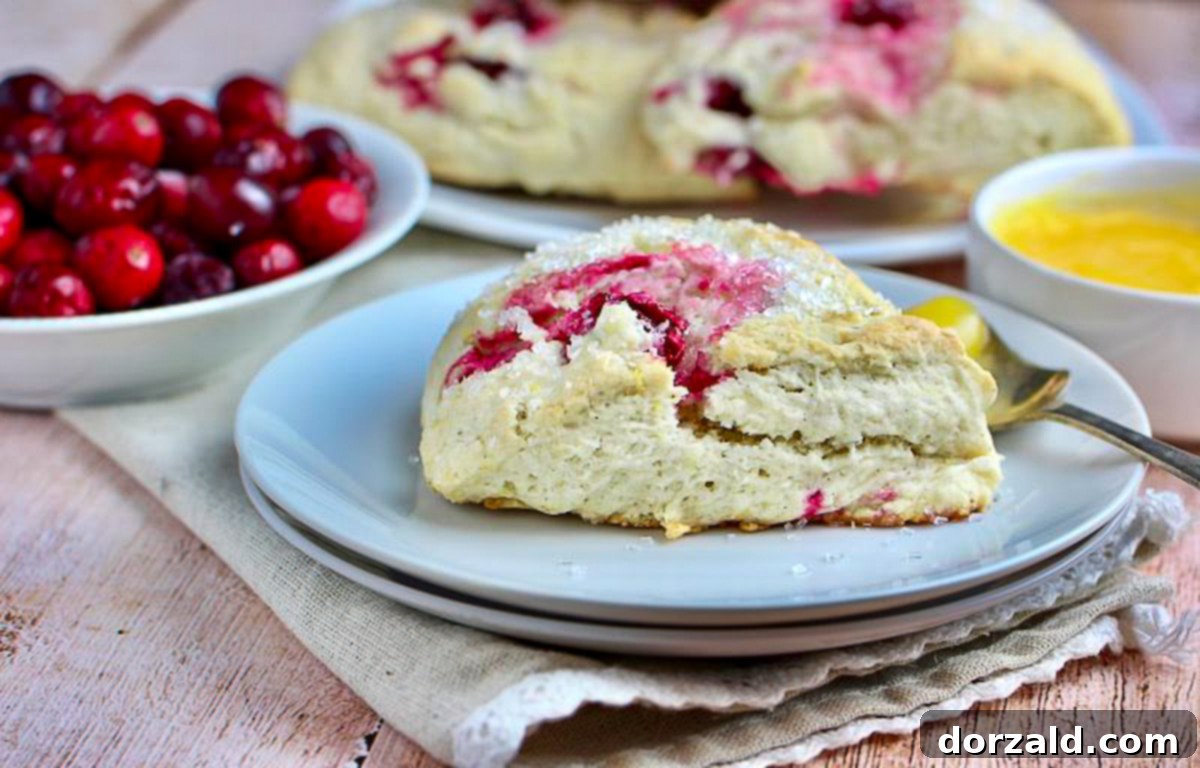 A selection of fresh ingredients including flour, sugar, cranberries, and a lemon, ready for making scones