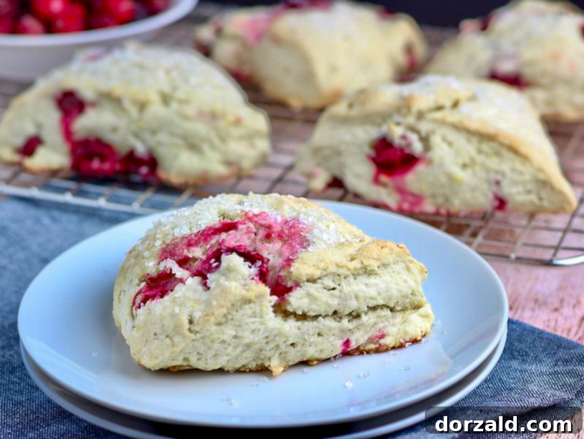 A close-up of a single golden-brown Vegan Cranberry Lemon Scone on a cooling rack