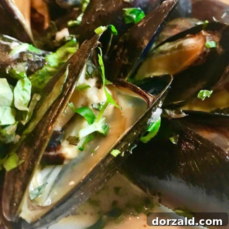 Plano Texas Staycation Your Guide to Food and Fun 14 The Keeper Plano Texas Mussels