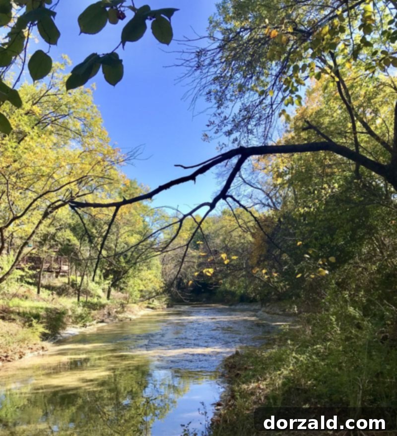 Plano Texas Staycation Your Guide to Food and Fun 32 Plano Heritage Farmstead Museum Scenic View