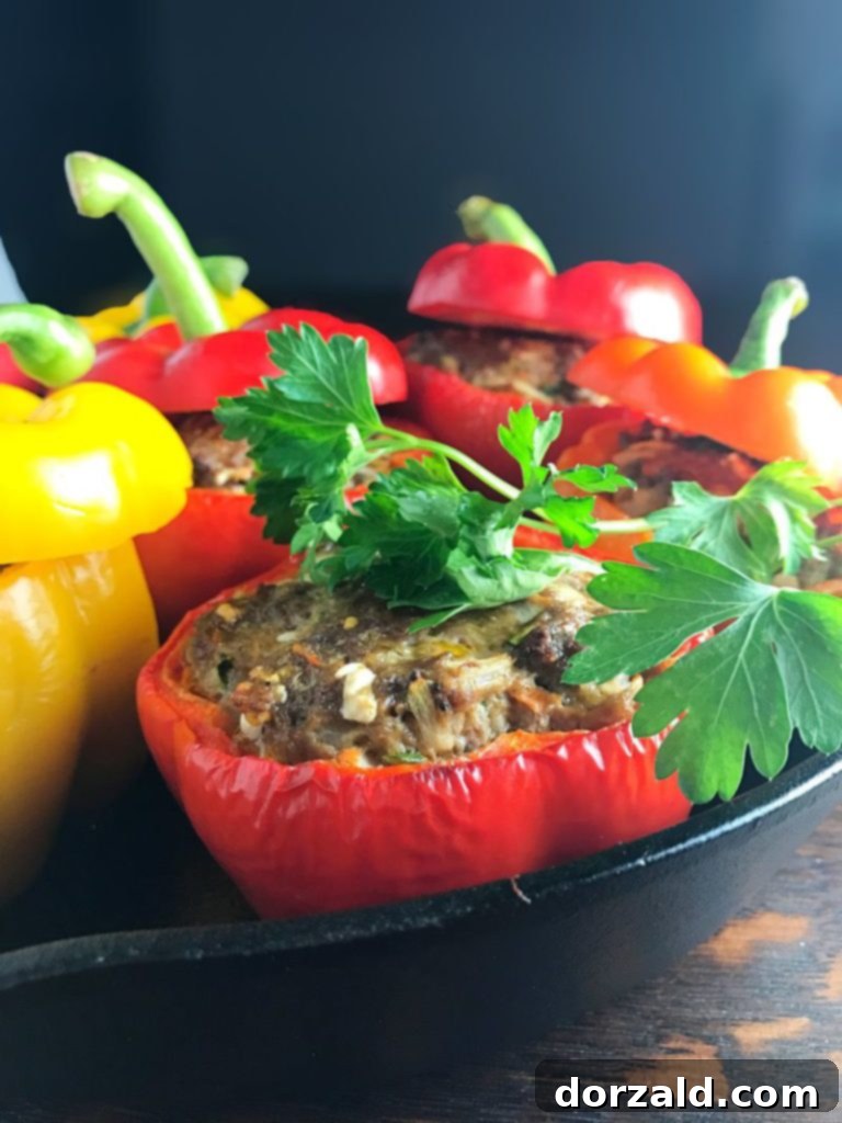 Bison Stuffed Bell Peppers