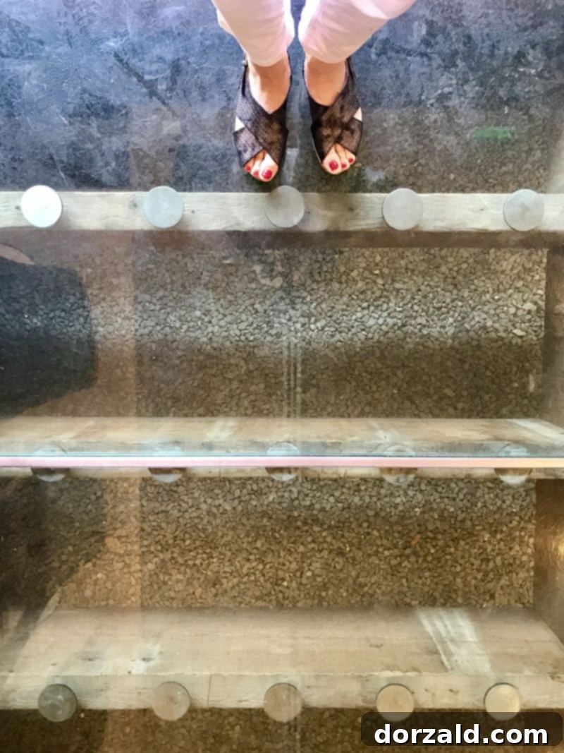 Saint Ann Dallas Glass Floor Feature