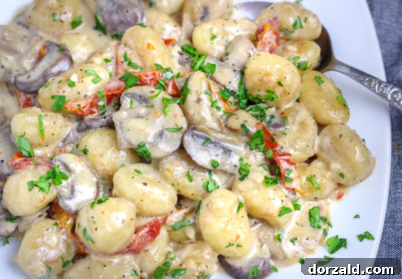 pan-fried gnocchi with mushroom cream sauce (vegan) plated overhead
